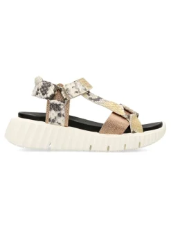 Hot CETTI Sandalia casual print serpiente