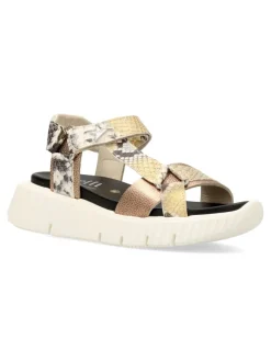 Hot CETTI Sandalia casual print serpiente