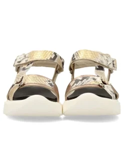 Hot CETTI Sandalia casual print serpiente