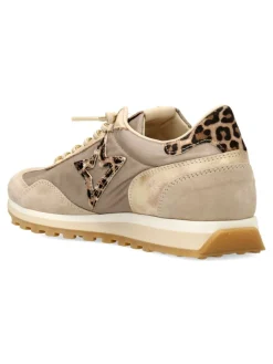 Online CETTI Zapatilla urbana print animal leopardo