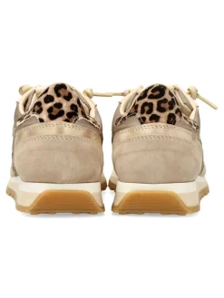 Online CETTI Zapatilla urbana print animal leopardo